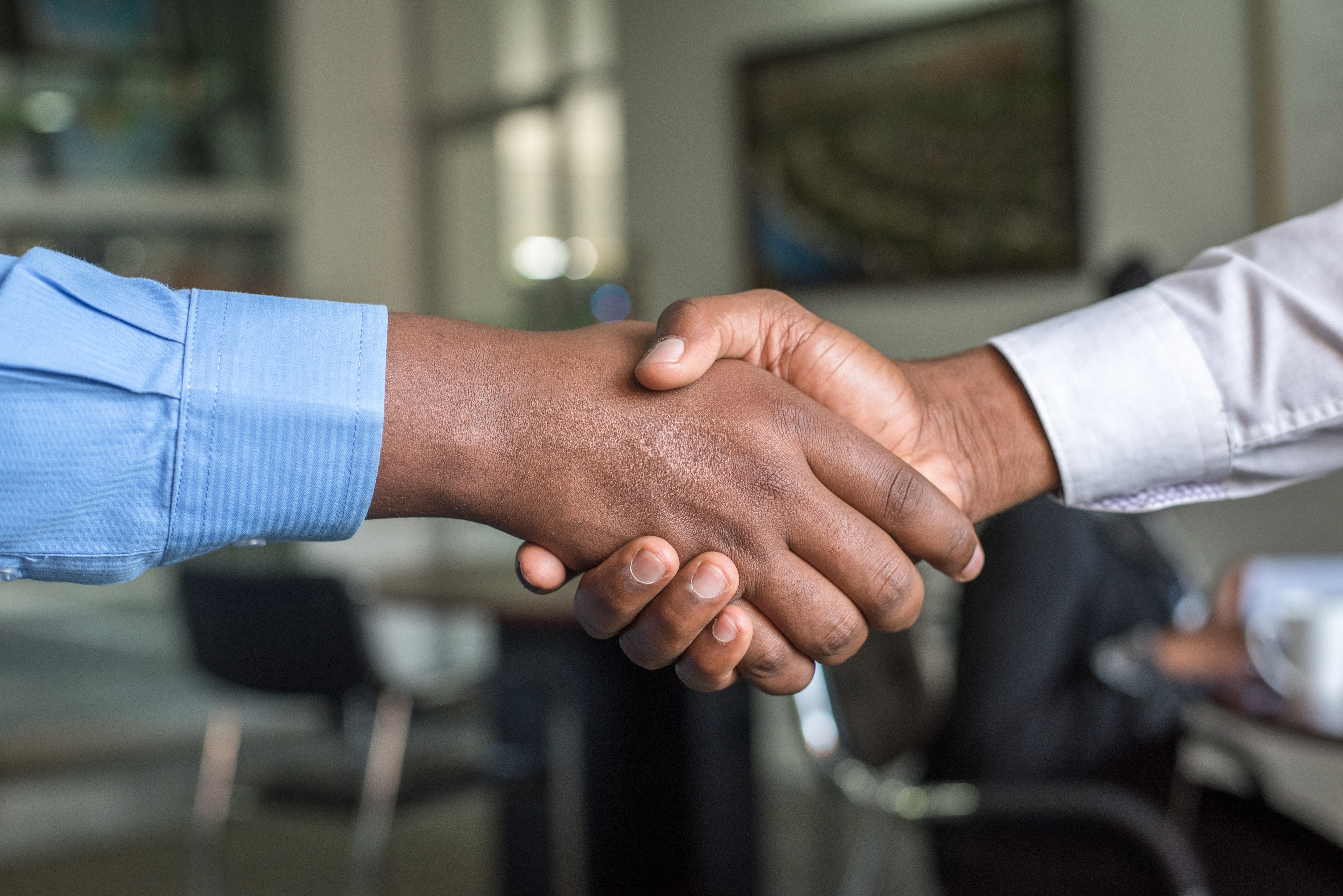 a handshake of two persons