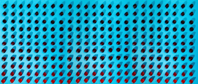 A Collection of gummibears colorsorted