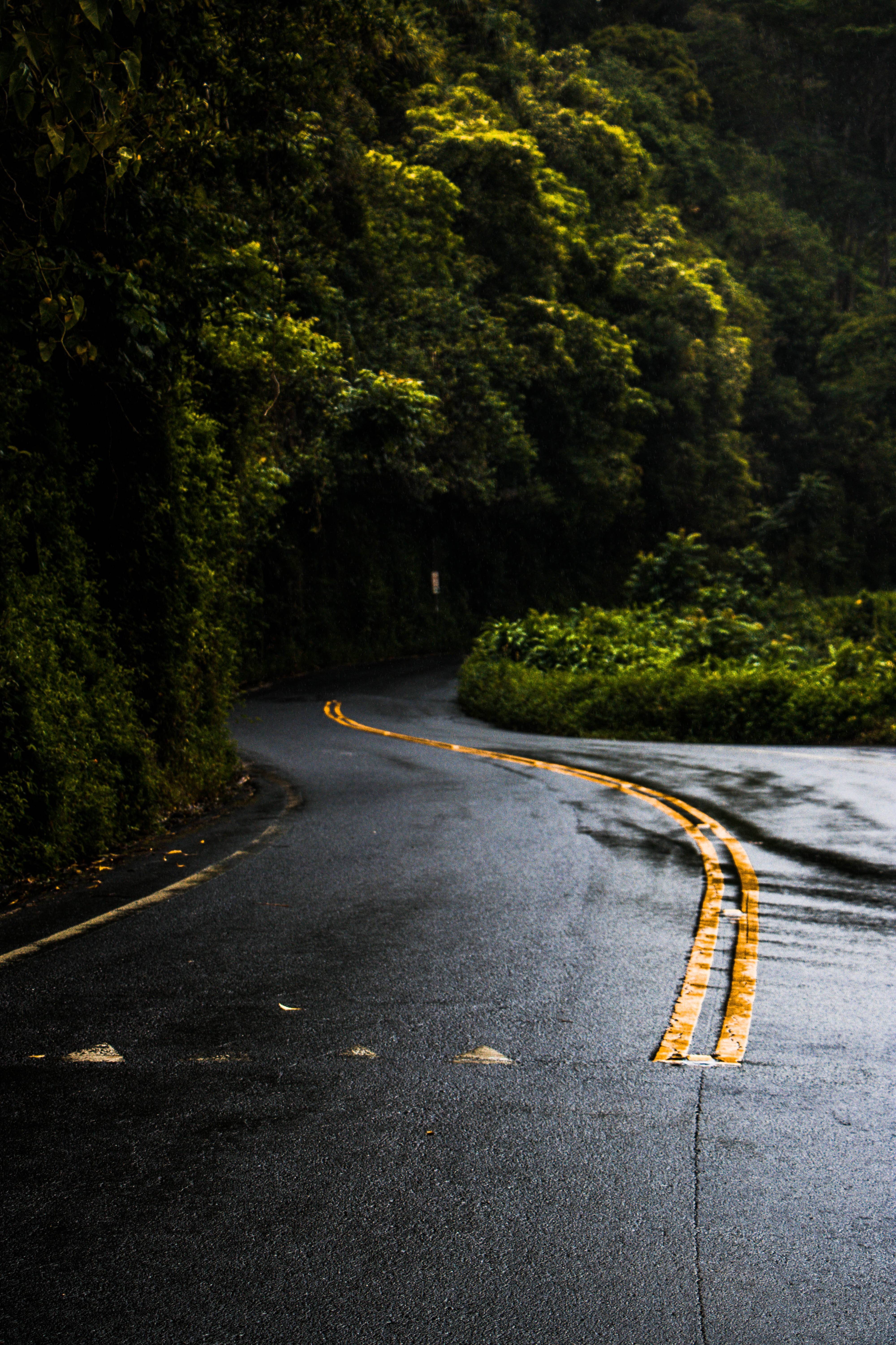 Die Road to Hana auf Hawaii